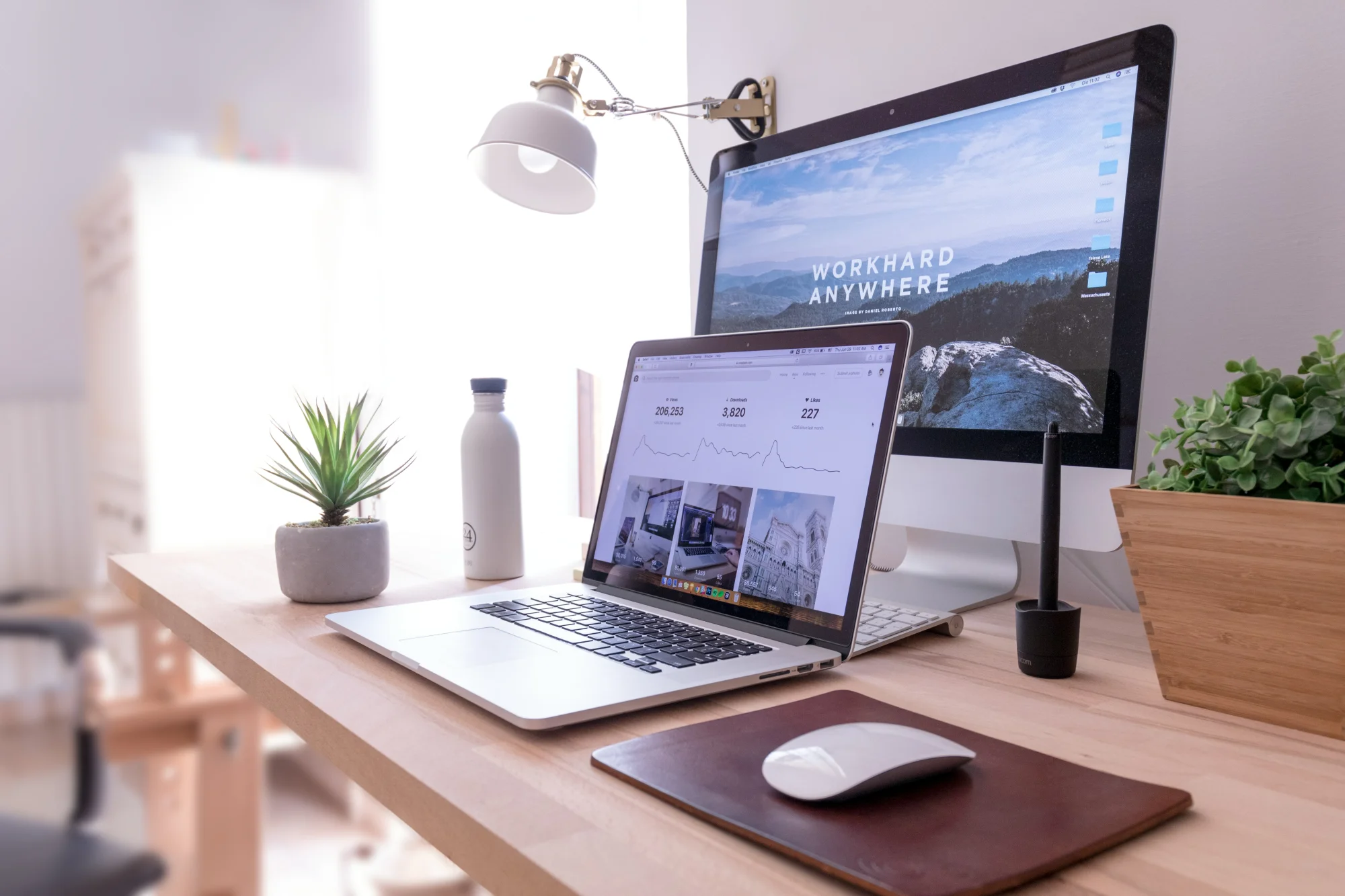 Professional Web Development